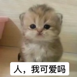 我不叫袁湘琴
