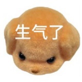 把你左右小猫汤