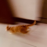 Patronum