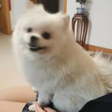 izxy -