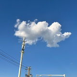 嘚欧逗逗