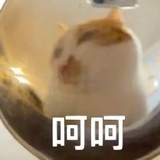 问秋