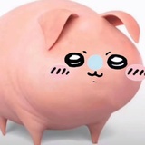 卖唱猪女郎