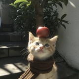 不喝水会死掉