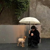 锦