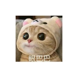 崔焱焱