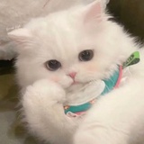 少女世