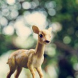 Bambi