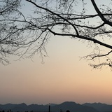 你闭嘴我不爱听