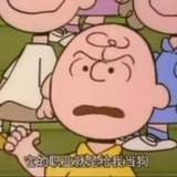 3030