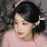 梅花枝