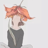 流水落花
