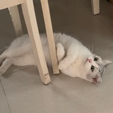 易修敬