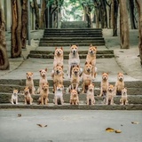柳暗花明又一村