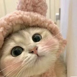 ℐ℗