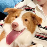 我嘟嘟逼人？