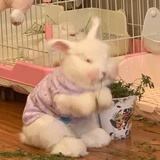 杨永信