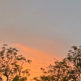 昵称