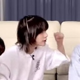 脆笨狗