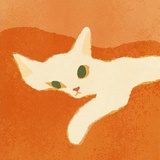 Kukki