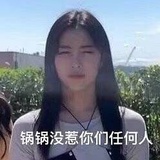海源街的狗