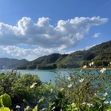 叫土豆阿姨吧
