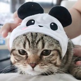 小員工