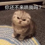 🥺🥺🥺