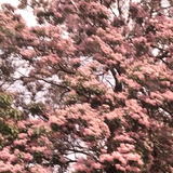 北清山