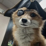 いしぴ