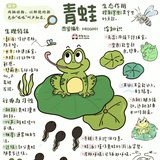 草枕