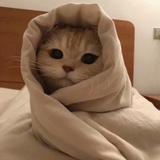 kiki