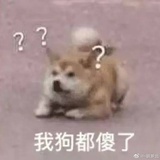 小狗勾