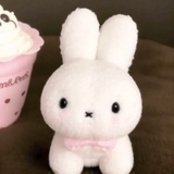 玛丽亚变异苹果