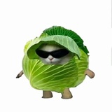 废物小甜心w