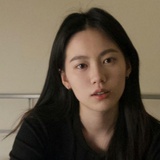 松针树开出茶花