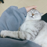橙子的瞄