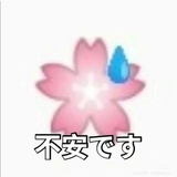 哈哈哦