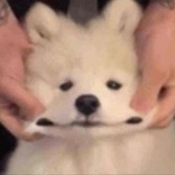 你忘本了哥们