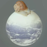 wú yá zǐ