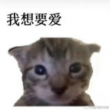 帝王拿波