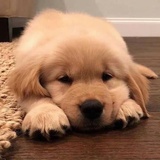 @-@