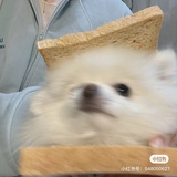 大江湖骗子