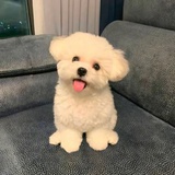 Say My Name
