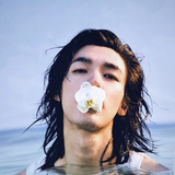 燕尾蝶