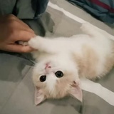 守护那份美好
