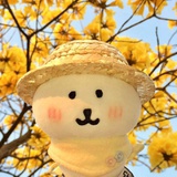 奔海-
