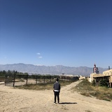 像个残废