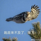 hthzkjh