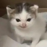 1333